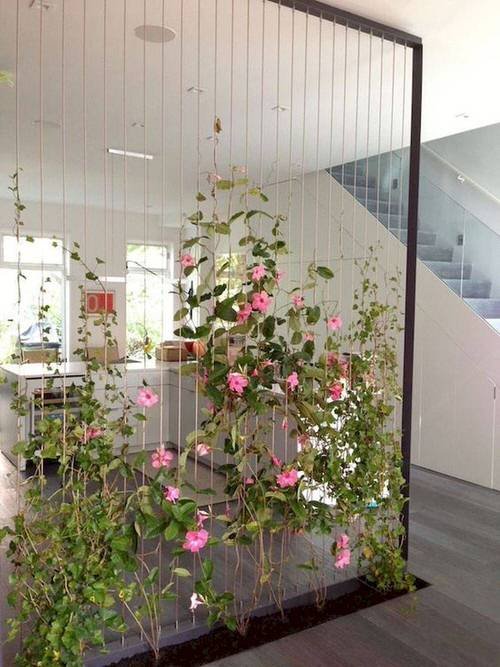 Indoor Wall Vine Ideas For Your Home 4