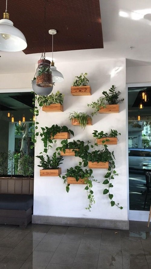 Corridor Decoration Ideas with Plants 2