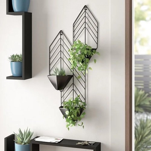 Fantastic Ways to Hang Plants on the Wall like Pros 13