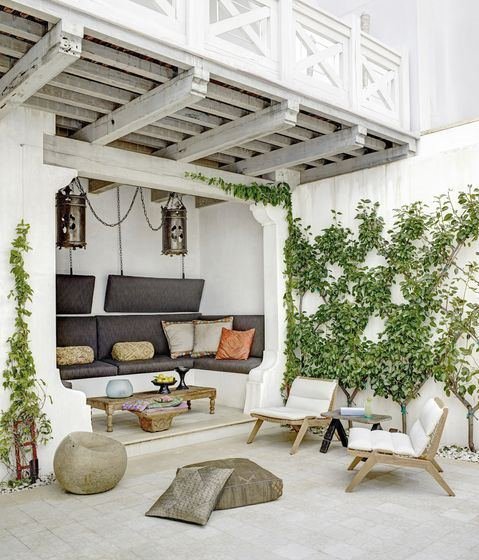 Indoor Vine Ideas For Your Home 3