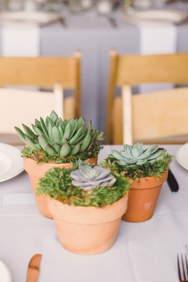 30 Beautiful Diy Succulents Centerpiece And Arrangement Ideas