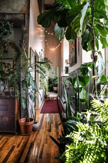 30 Mesmerizing Corridor Decoration Ideas with Plants