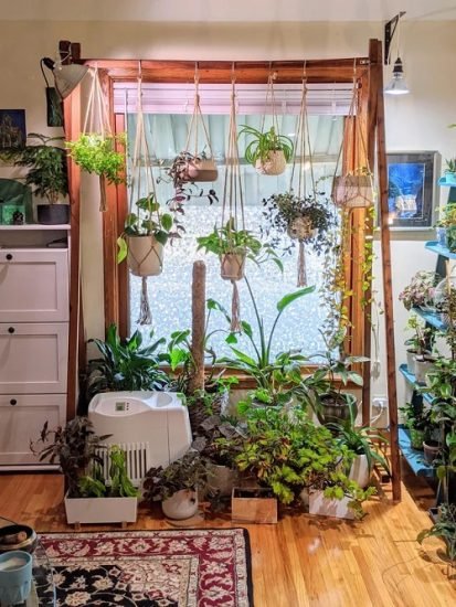 26 Fantastic Ways to Hang Plants on the Wall Like Pros