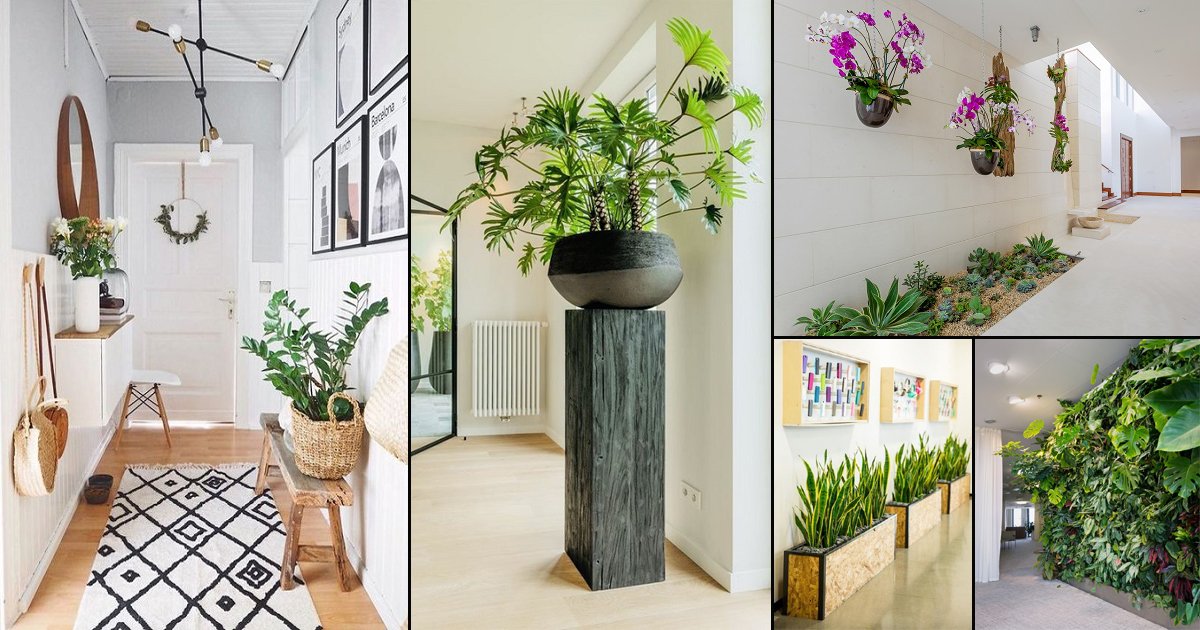 30 Mesmerizing Corridor Decoration Ideas with Plants