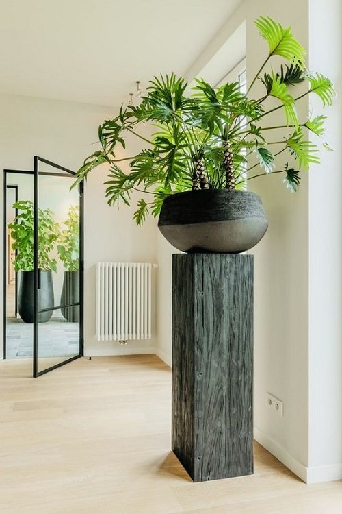 Corridor Decoration Ideas with Plants 8