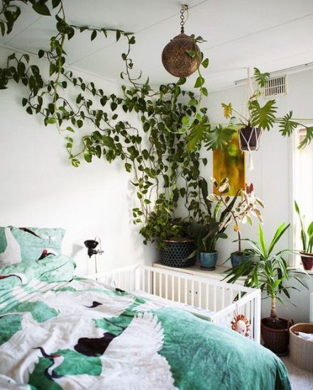 28 Modern Indoor Vine Wall Ideas For Your Home | Balcony Garden Web