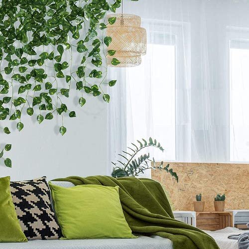 Indoor Wall Vine Ideas For Your Home 10