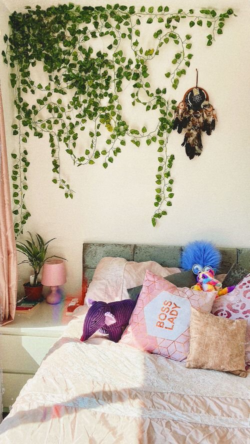 45 Refreshing Indoor Vine Ideas For Your Home - Shelterness