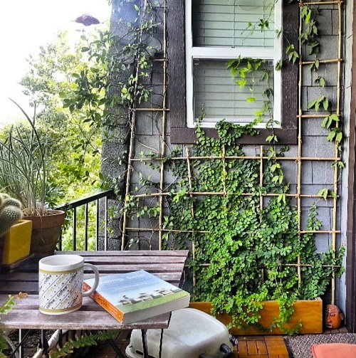 DIY Trellis Ideas for Balcony Gardens 2