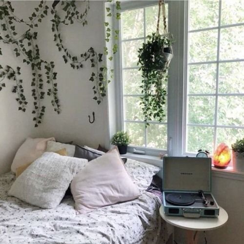 Indoor Wall Vine Ideas For Your Home 14