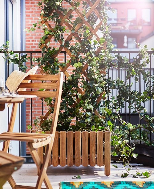 DIY Trellis Ideas for Balcony Gardens 3