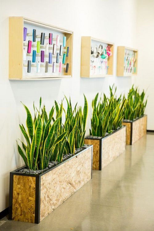 Corridor Decoration Ideas with Plants 1