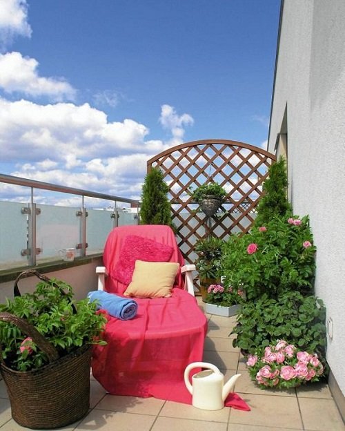 DIY Trellis Ideas for Balcony Gardens 7