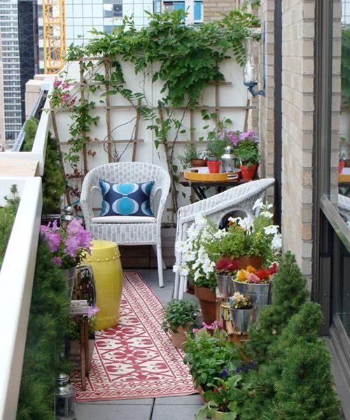 DIY Trellis Ideas for Balcony Gardens 8