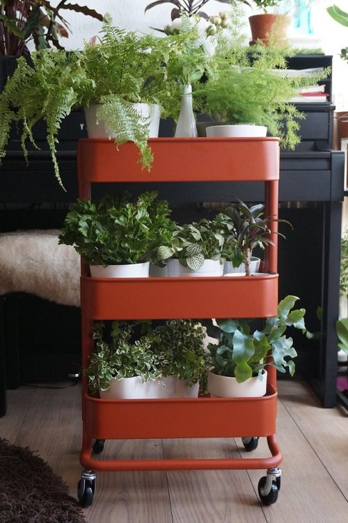 21 Ways to Reuse Kitchen Items for Indoor Gardening