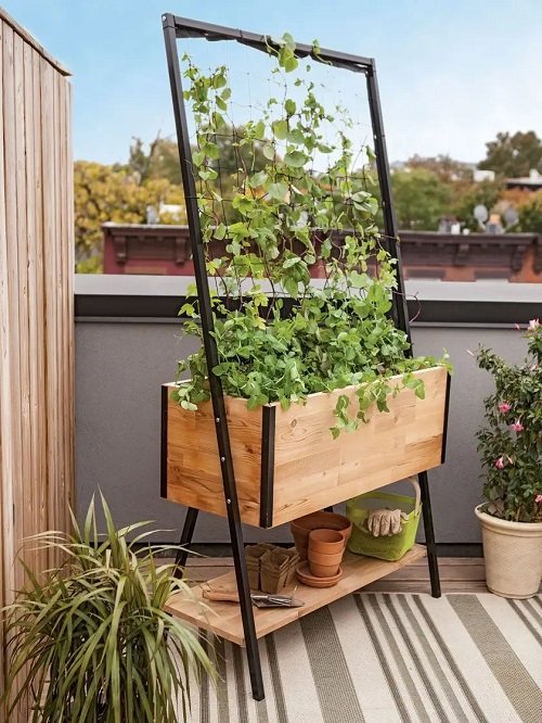 DIY Trellis Ideas for Balcony Gardens 6