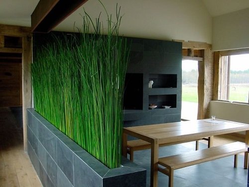 32 Beautiful Indoor Privacy Ideas with Plants 3