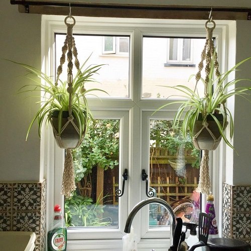 32 Beautiful Indoor Privacy Ideas with Plants 14