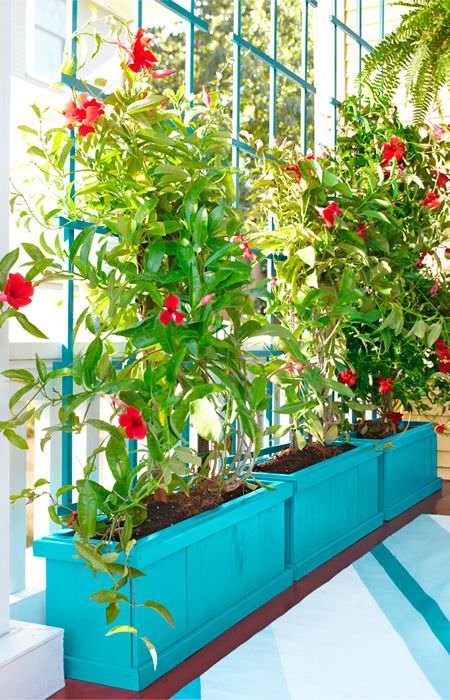 32 Beautiful Indoor Privacy Ideas with Plants 12