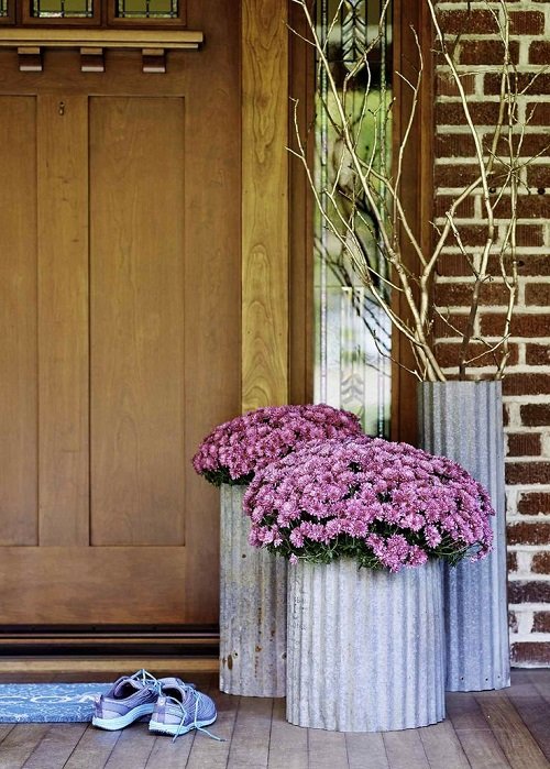 Best Plants for Front Door According to Various Cultures