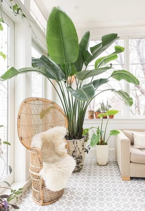 32 Beautiful Indoor Privacy Ideas with Plants 10
