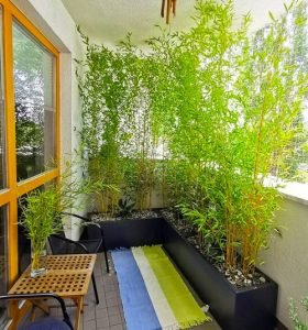 32 Beautiful Indoor Privacy Ideas with Plants | Balcony Garden Web