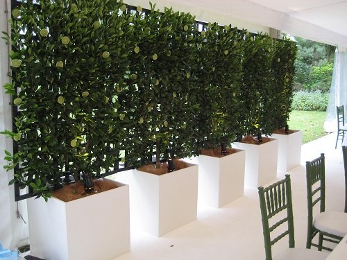32 Beautiful Indoor Privacy Ideas with Plants 5