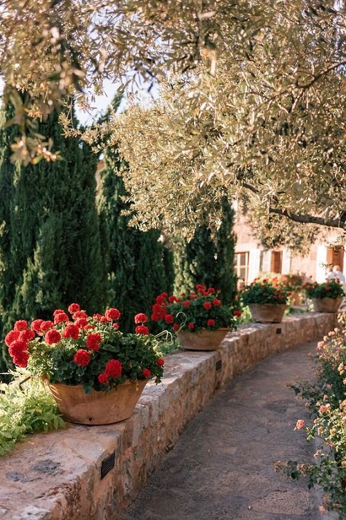 Best Mediterranean Garden Ideas 15