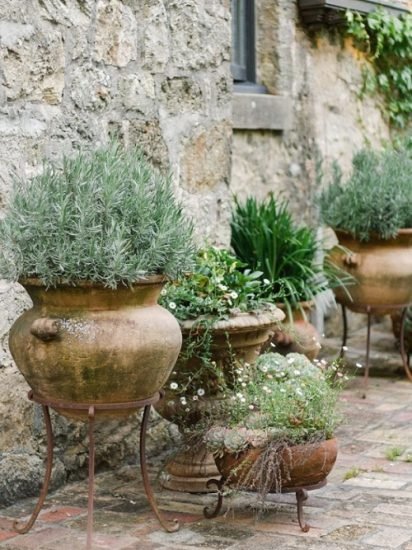 Best Mediterranean Garden Ideas Best Mystic Zone
