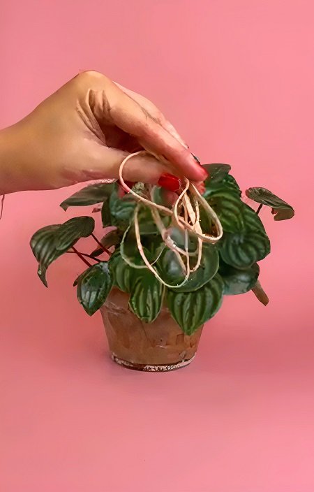 Rubber Band Hack