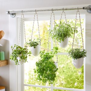 18 Really Fun Indoor Garden Ideas | Balcony Garden Web