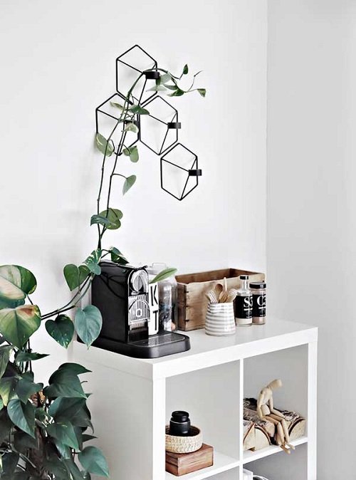 Coffee Space with Plants 6