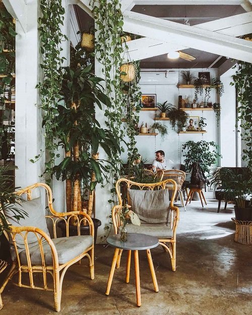 17 Best Coffee Space with Plant Ideas | Coffee and Plants