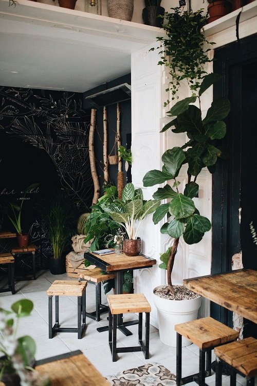 Coffee Space with Plants 7