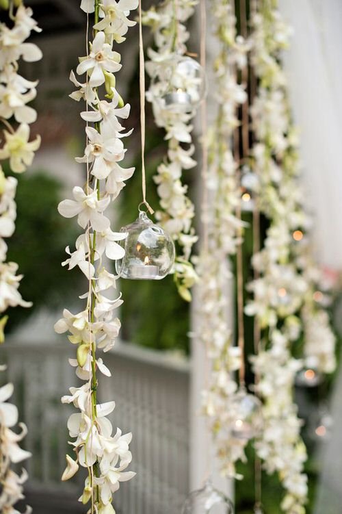17 Stunning Indoor Flowering Curtain Ideas