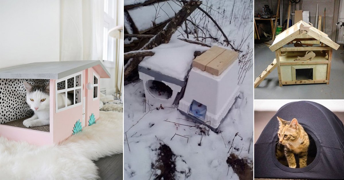28 DIY Outdoor Cat House Ideas For Winters | DIY Feral Cat Shelters