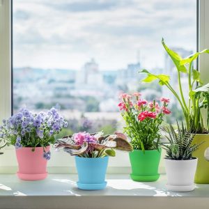 18 Really Fun Indoor Garden Ideas | Balcony Garden Web