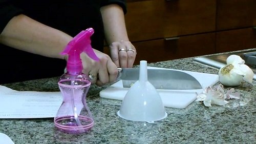 DIY Insecticidal Soap Recipes for Garden 3
