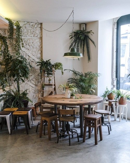 Coffee Space with Plants 