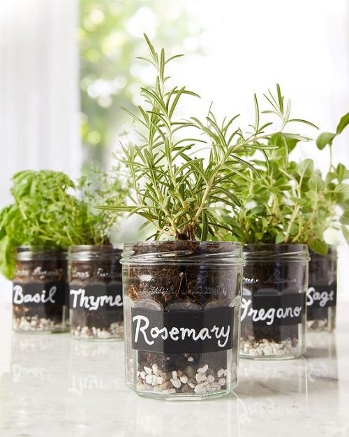 18 Brilliant Herbs in Glass Jar Ideas 4