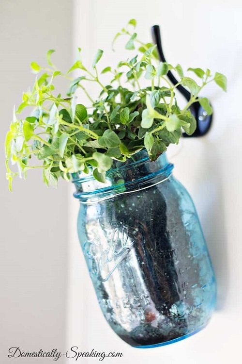 18 Brilliant Herbs in Glass Jar Ideas 1