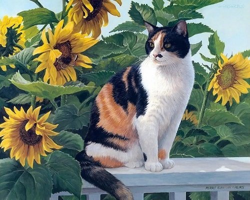 46 Best Cat Garden Plants | Cat Friendly Indoor Plants 18