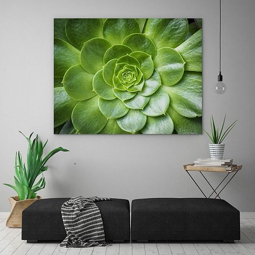 Artistic Home Decor Ideas with Plants 8