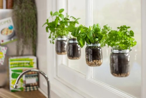 18 Brilliant Herbs in Glass Jar Ideas 9