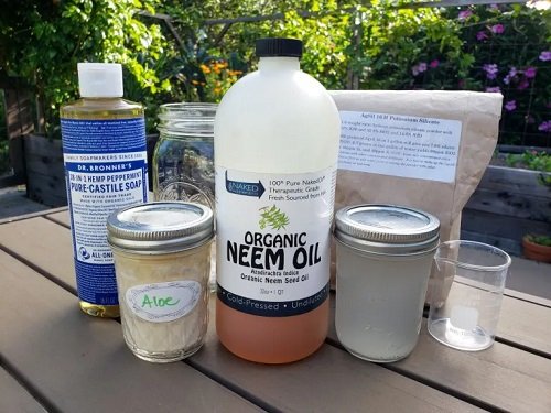 DIY Insecticidal Soap Recipes for Garden 4