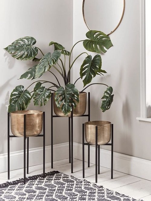 Best Foyer Decor Ideas with Plants