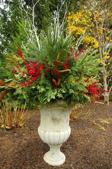 25 Best Winter Planters for Front Porch | Balcony Garden Web