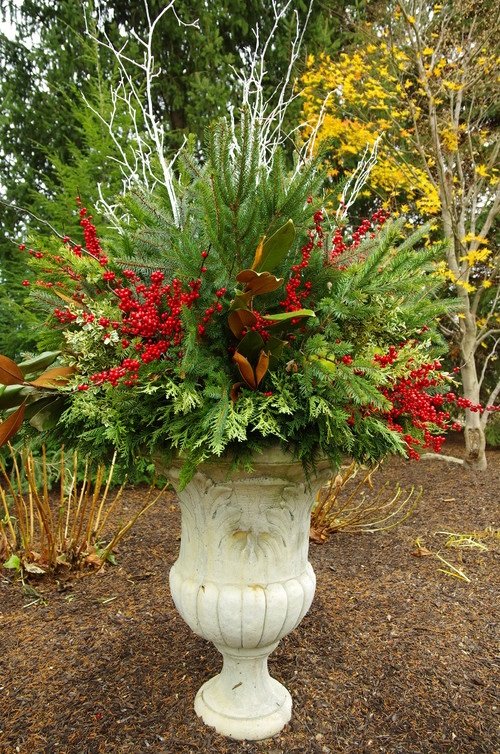 Best Winter Planters for Front Porch 15