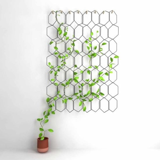 21 Fabulous DIY Trellis Plant Wall Ideas 6