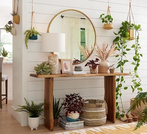 Plant Ideas to Spruce Up Your Entry 2